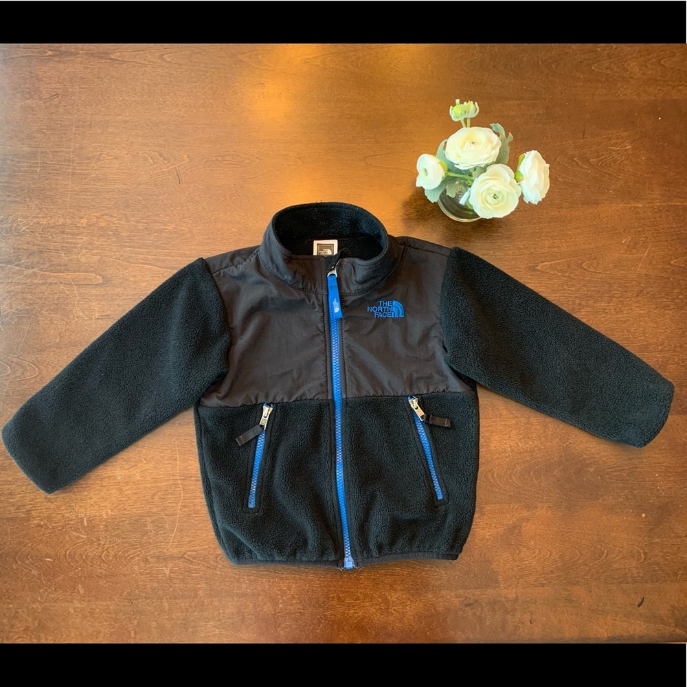 The North Face Fleece Jacket